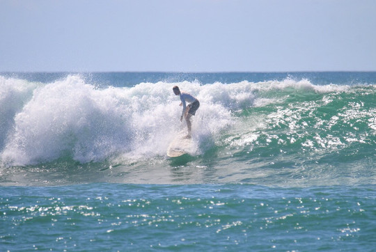 Monkey Adventures-圣特雷莎必去景点