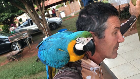 Pousada Rancho Rubineia主图