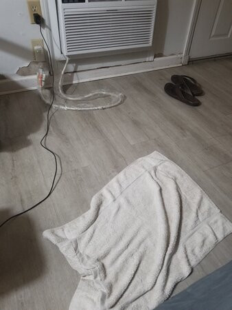 The Sand Dollar Motel主图