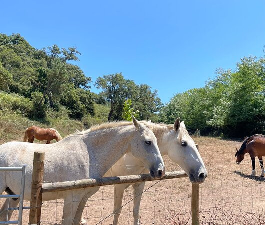 代德马蒂尼亚酒店主图