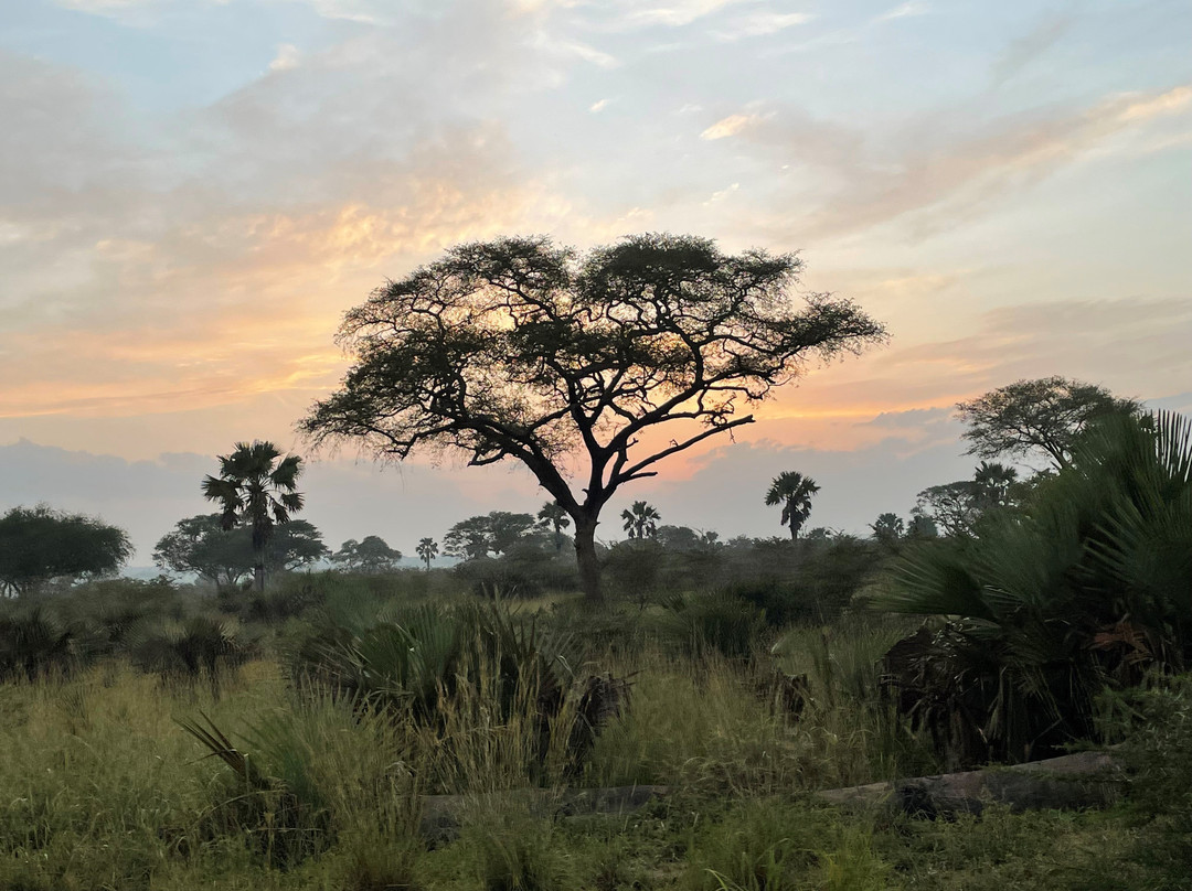 Bushman Safaris-坎帕拉必去景点