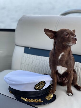 Fun Time Water Sports-Oakland必去景点