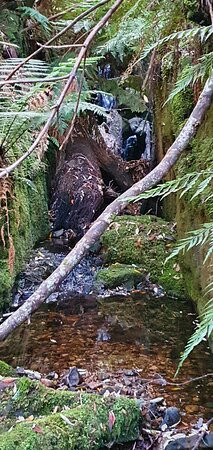 Myrtle Gully Aka Oates Falls