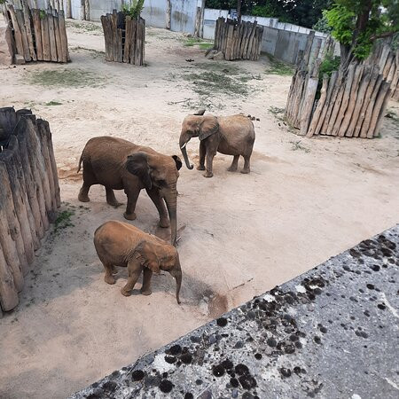 Zoo Halle (Mountain Zoo)-哈雷必去景点