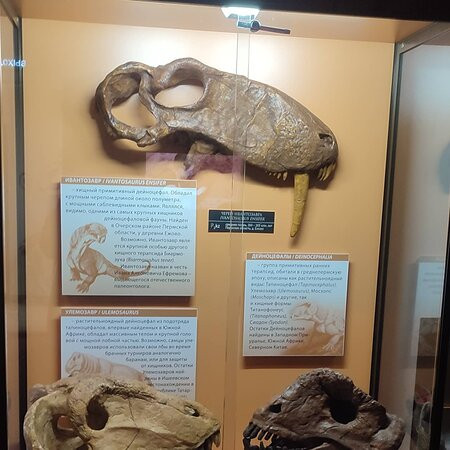 Vyatka Museum of Paleontology-基洛夫必去景点