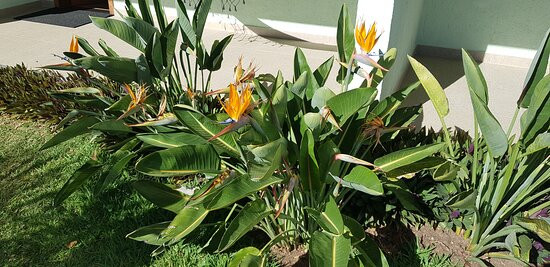 Pousada Cantuá主图