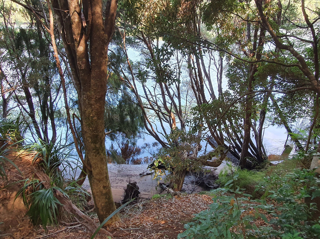 Whyte River Track-Corinna必去景点