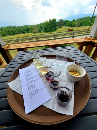 Knight's Gambit Vineyard-夏洛茨维尔必去景点