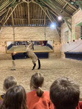 Haras National de Pompadour景点图片