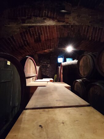 Azienda Agricola Bricco del Cucù景点图片