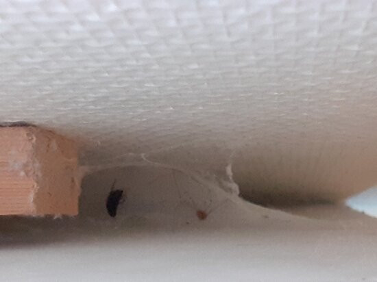 法斯特酒店主图