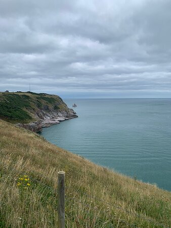 Berry Head National Nature Reserve景点图片
