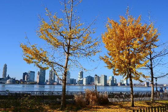 SeaGlass Carousel-纽约市必去景点