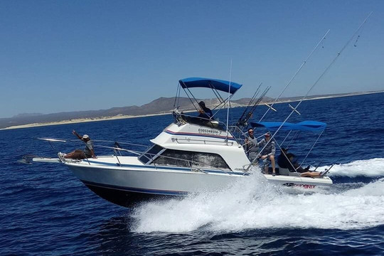 Doña Meche sportfishing-圣何塞卡波必去景点