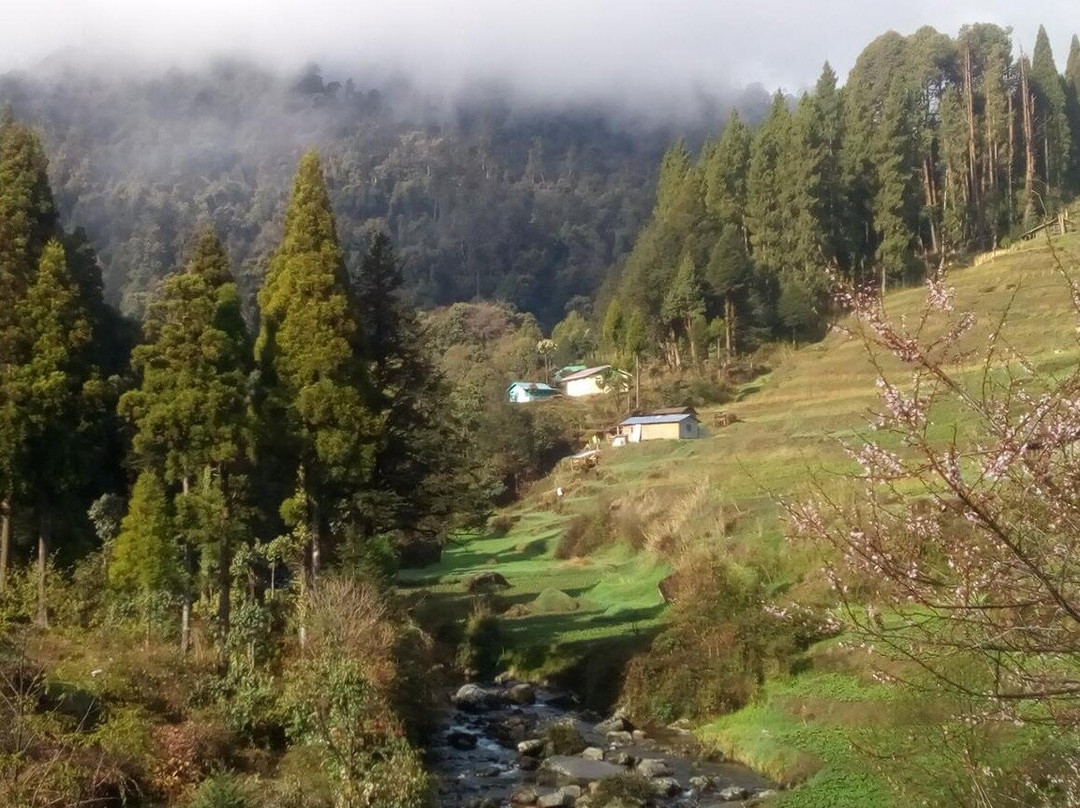 SBST Tourist-加尔各答（亦写作“Calcutta”）必去景点