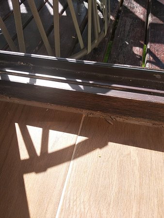 Effect Algara Beach主图