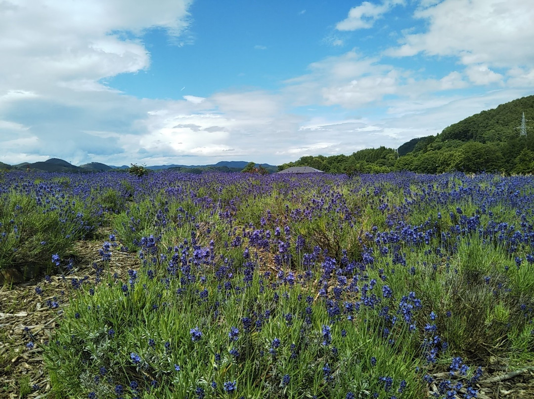 Gosho Lake Park Choba District Orchards-雫石町必去景点