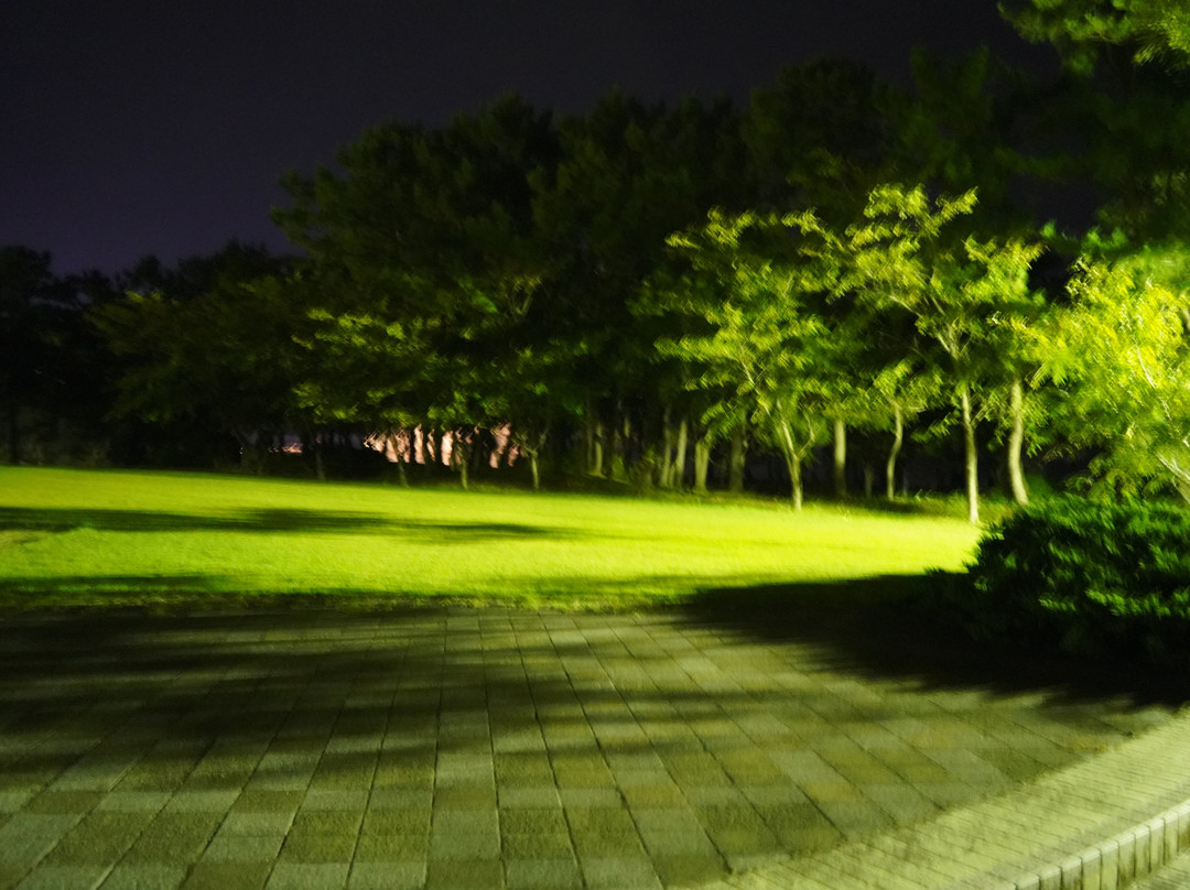 Fresh Line Mitsuke Park景点图片