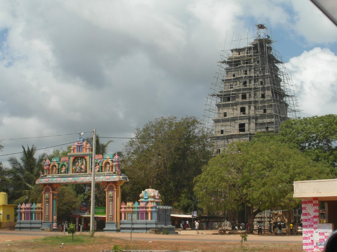 Naguleswaram Temple景点图片