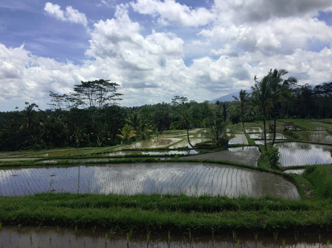 Hai Bali Cycling Tour