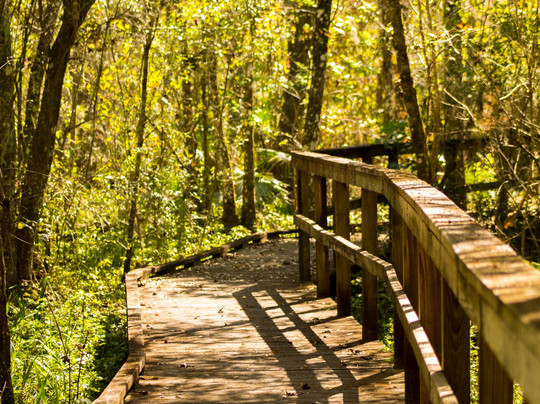 Bowling Green旅游攻略图片
