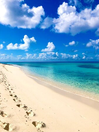 Malcolm's Road Beach-普罗维登西亚莱斯必去景点
