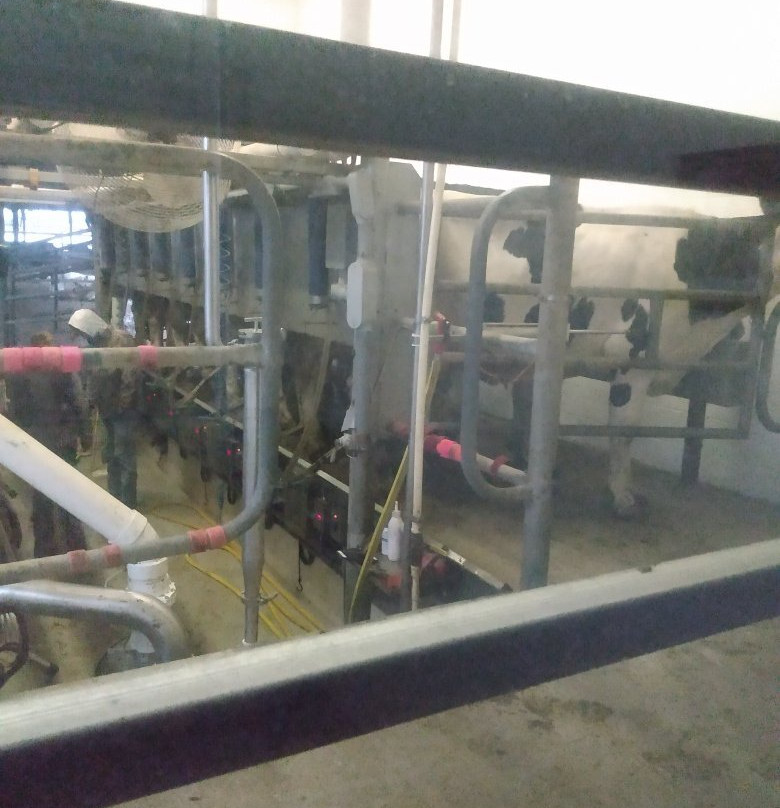 Perrydell Farm Dairy景点图片