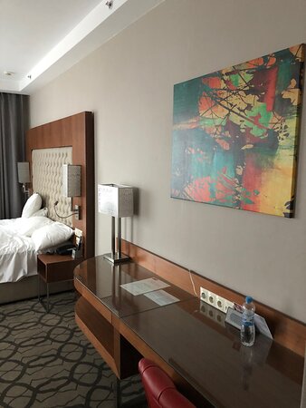 Ramada Plaza by WyndhamVoronezh City Centre-官方