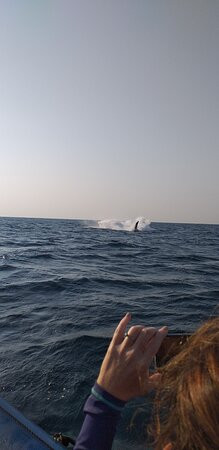 Oceans Alive-Scottburgh必去景点