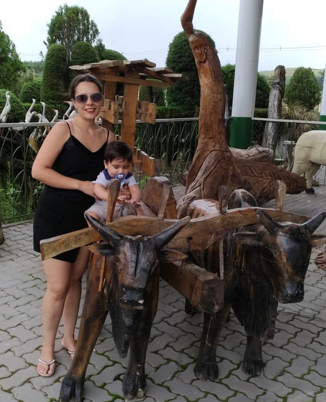 Hotel e Parque Das Tuias主图