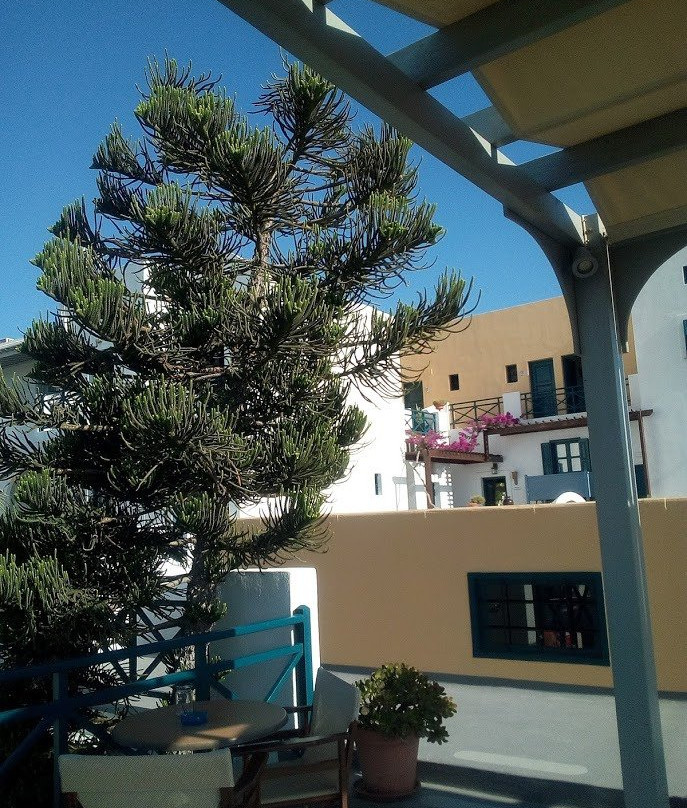 Kalimera Hotel主图