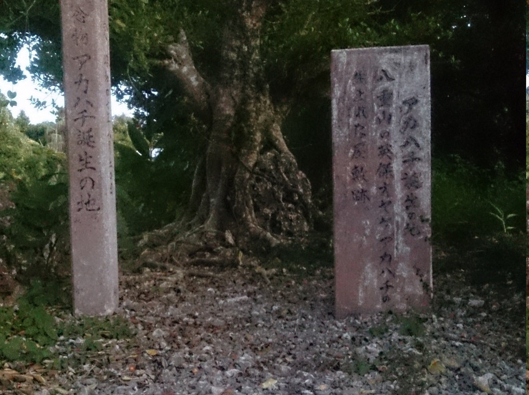 Akahachi Birth Place Monument景点图片