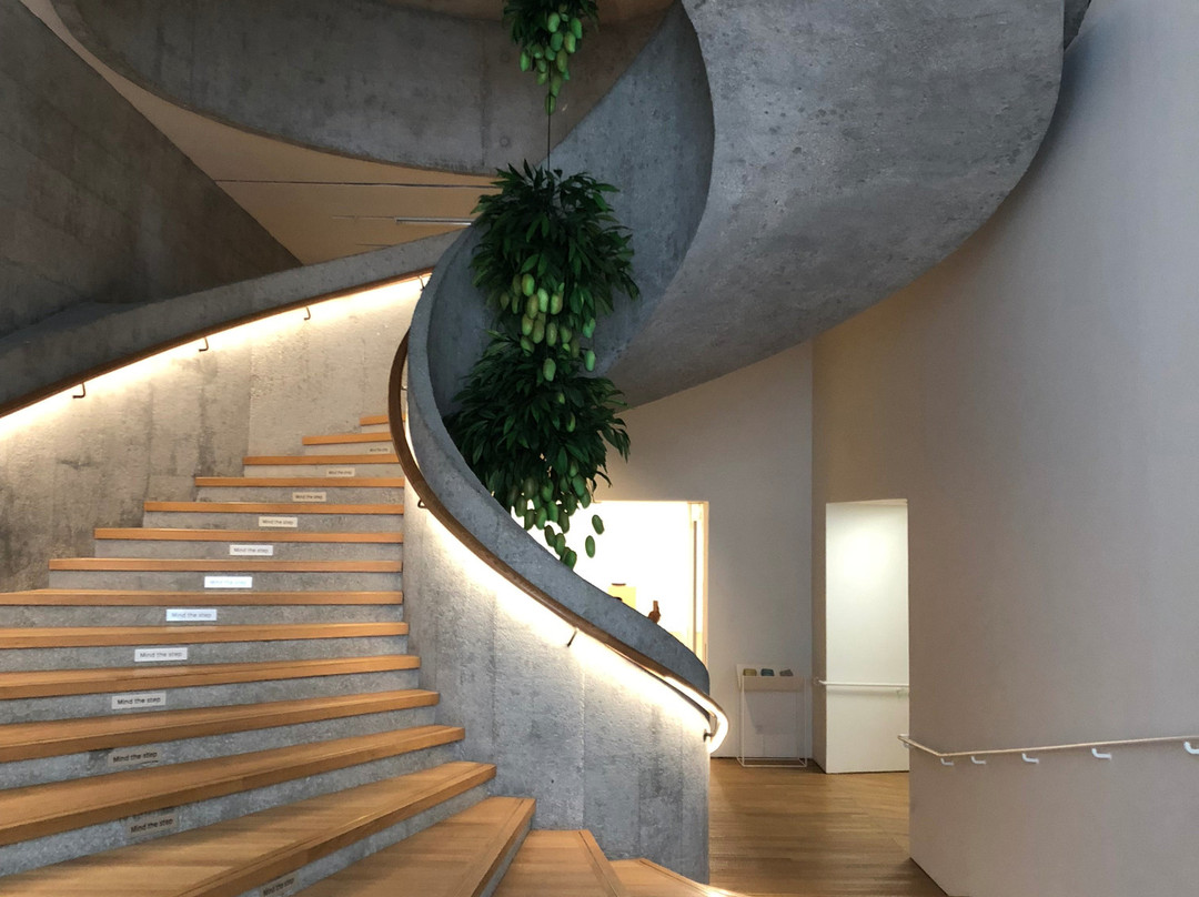 大馆-当代美术馆-香港必去景点