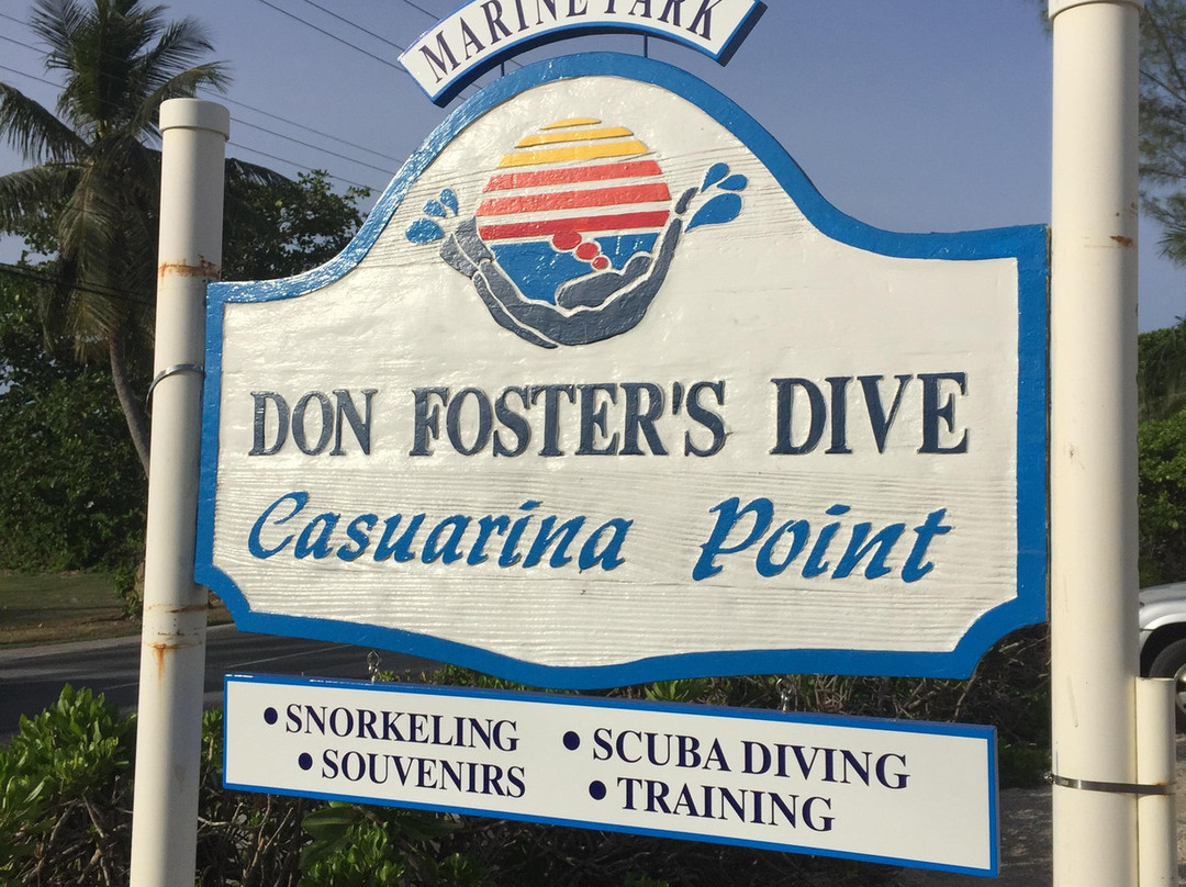 Don Foster's Dive Cayman景点图片