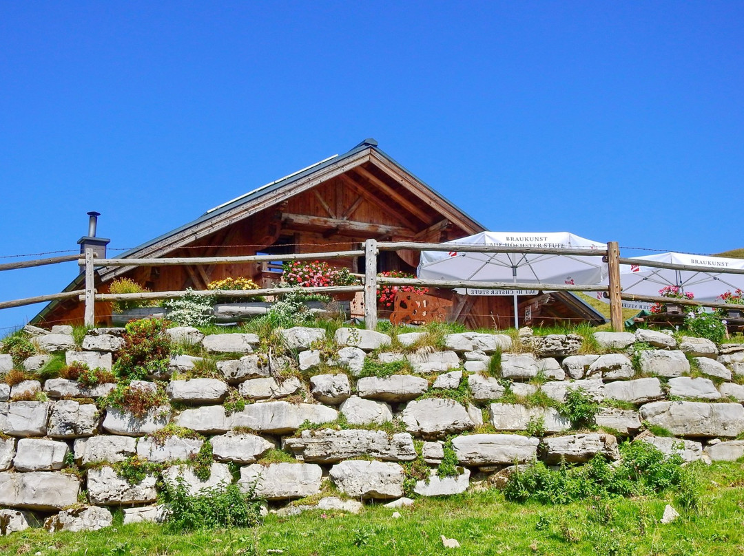 Krispl餐馆和美食-Posch'n Hütte