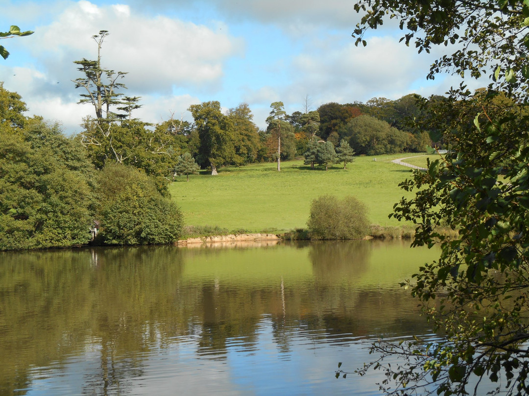 Crediton旅游景点-Shobrooke Park