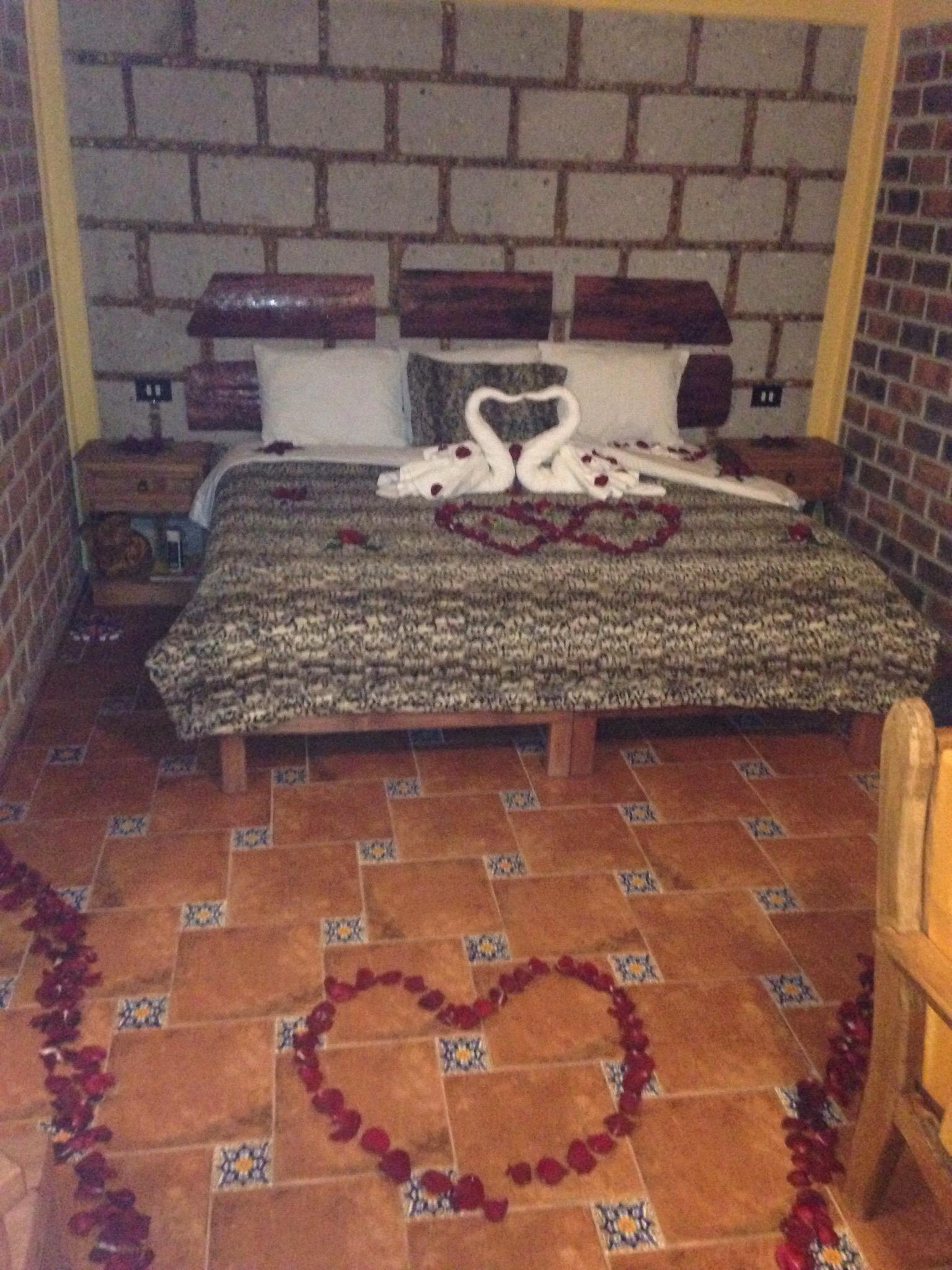 Hotel Alan Prince-官方