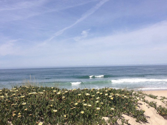 WaveSisters Surf Camp