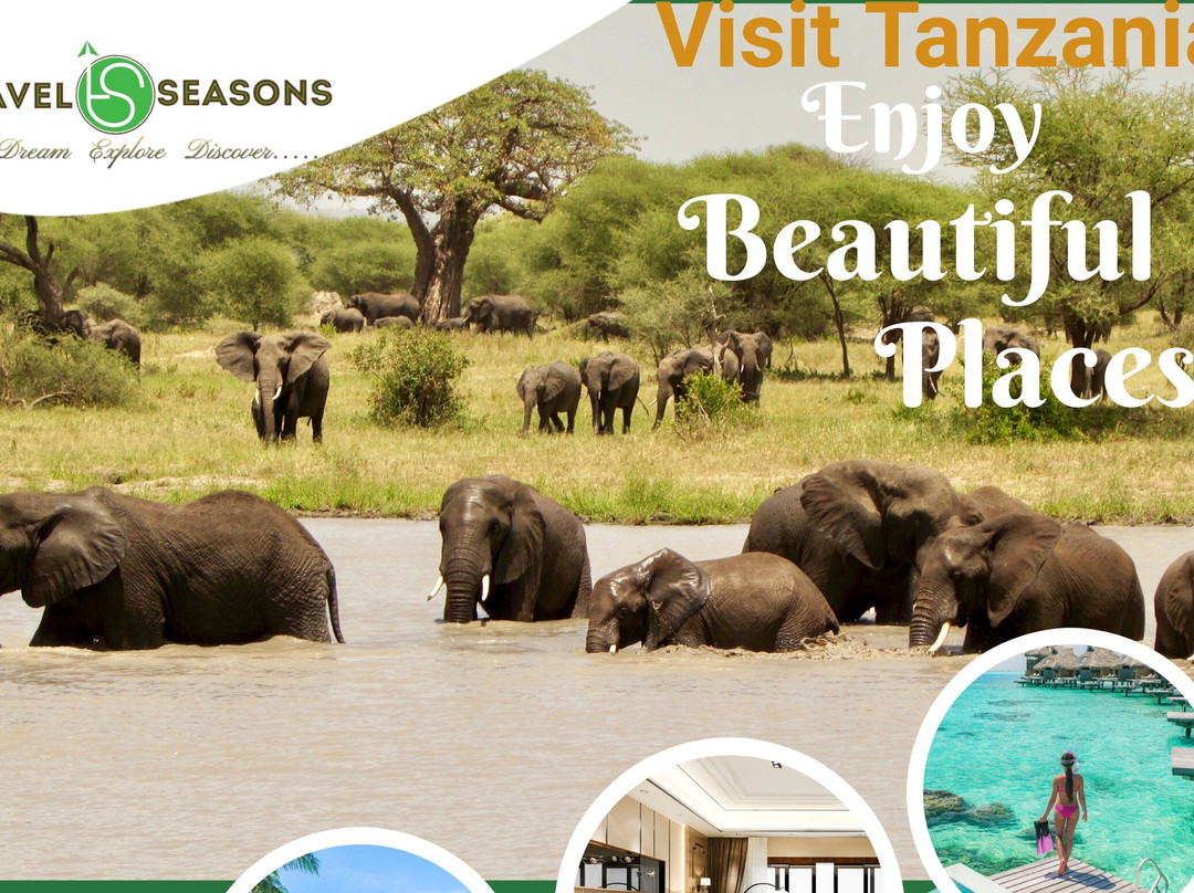 Travel Season Networks-卡拉图必去景点