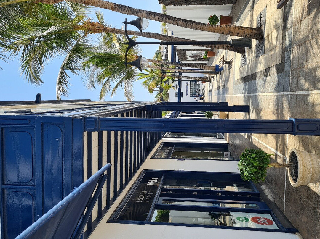Calle Isla Los Lobos景点图片