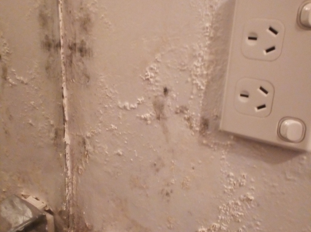 Ariah Park Hotel主图