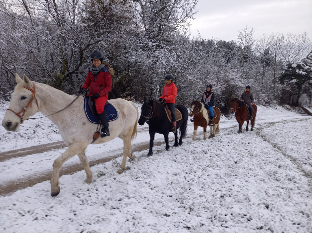 Menglon旅游攻略图片