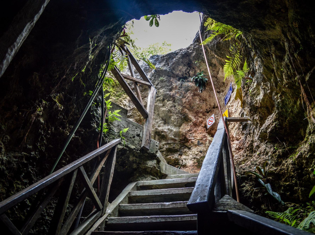 Cenotes Tamcach-Ha & Choo-Ha景点图片