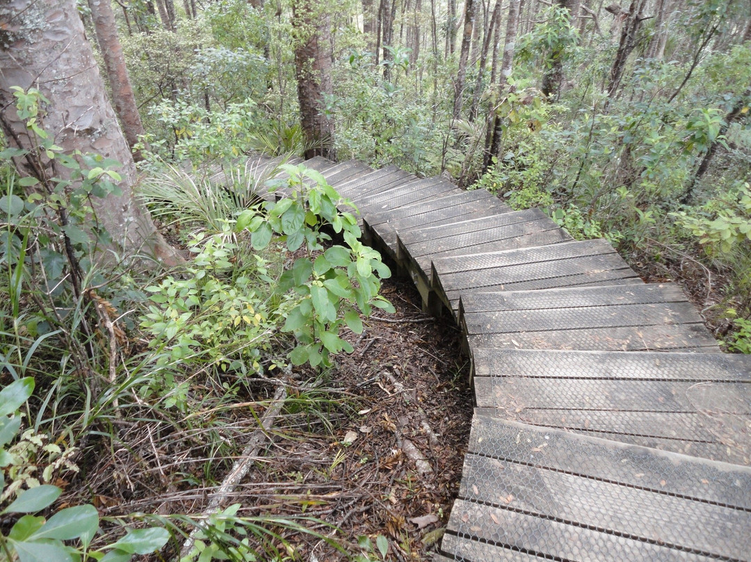 Alice Eaves Scenic Reserve景点图片