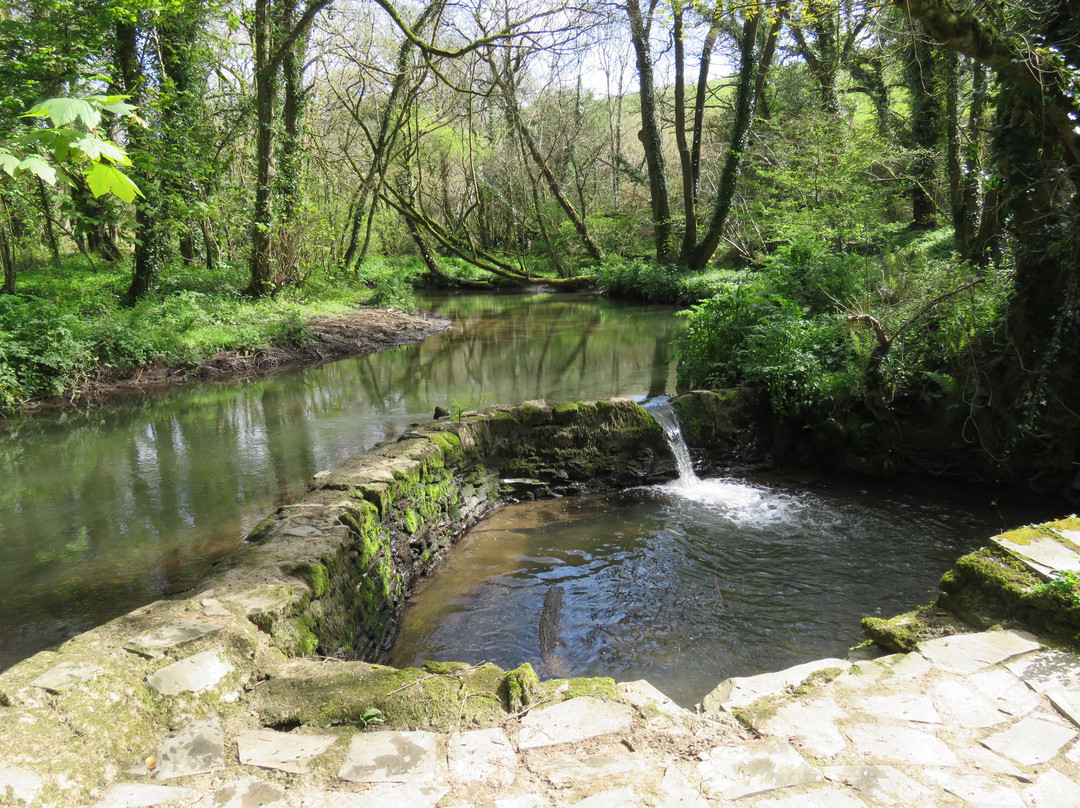 Egloshayle to Dinham Bridge