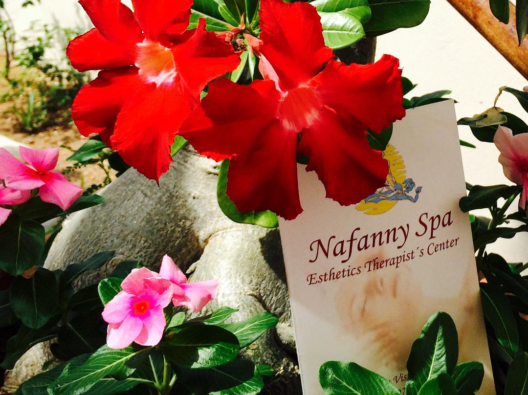 Nafanny Spa-Noord必去景点