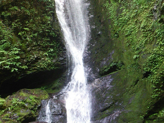 Umezawa Trail-奥多摩町必去景点