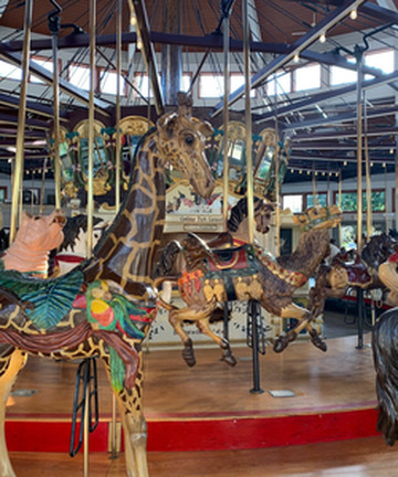 Coolidge Park Antique Carousel景点门票图片
