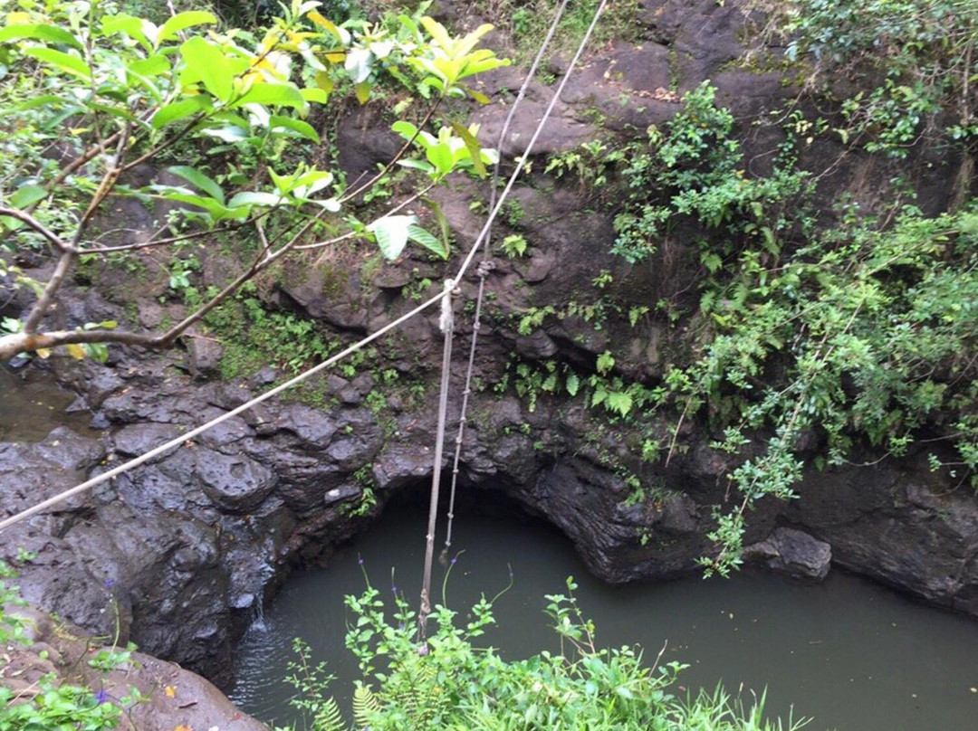 Waimano Ridge Trail-珍珠市必去景点