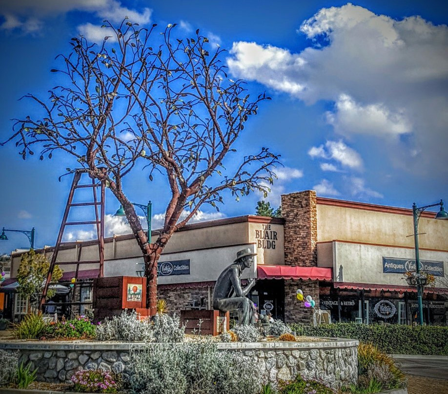 Acocotli Mexican Restsurant